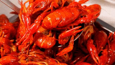 小龙虾外卖好不好做,小龙虾外卖为什么能做到100块7斤