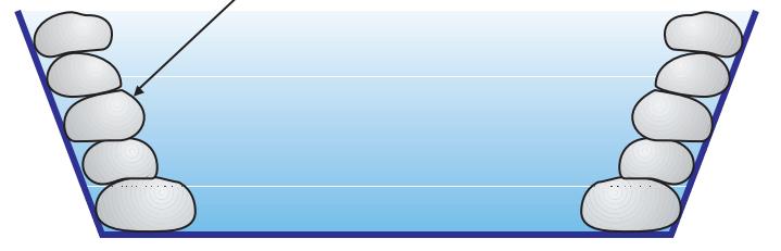 生态缸为啥不长藻不出绿水,生态缸为什么养不活虾