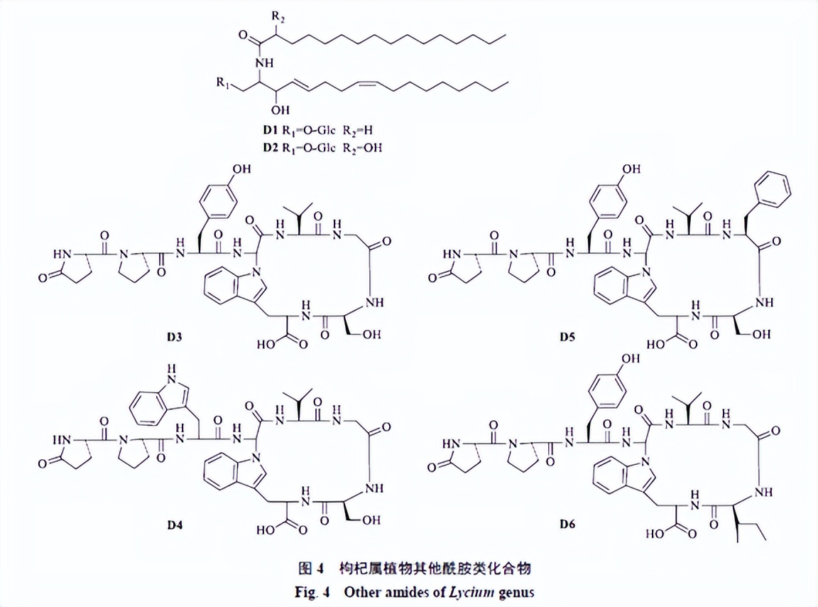 枸杞活性成分系统分析研究,枸杞的生物活性成分分类