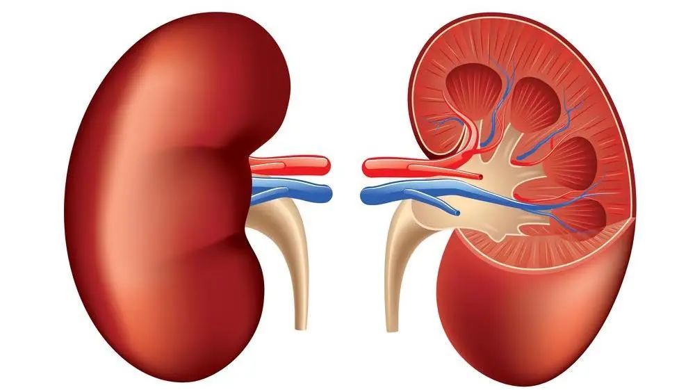 谷医堂谷方益元的费用公开透明吗,谷医堂中医跟谷方益元