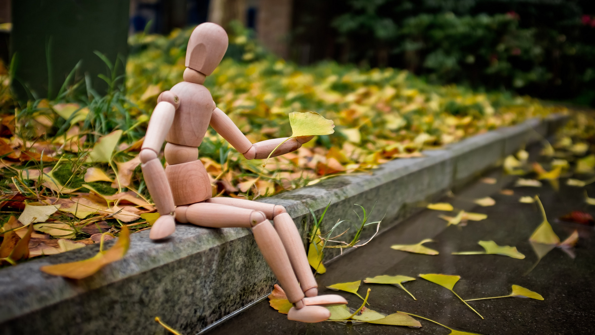 提高情商的14个忠告,给女人提高情商的忠告