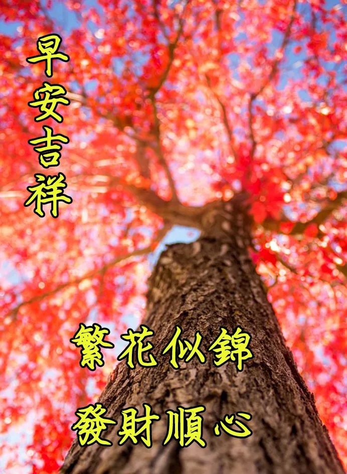 早上好最美的早安祝福表情图,早上好漂亮的早安问候动态图片