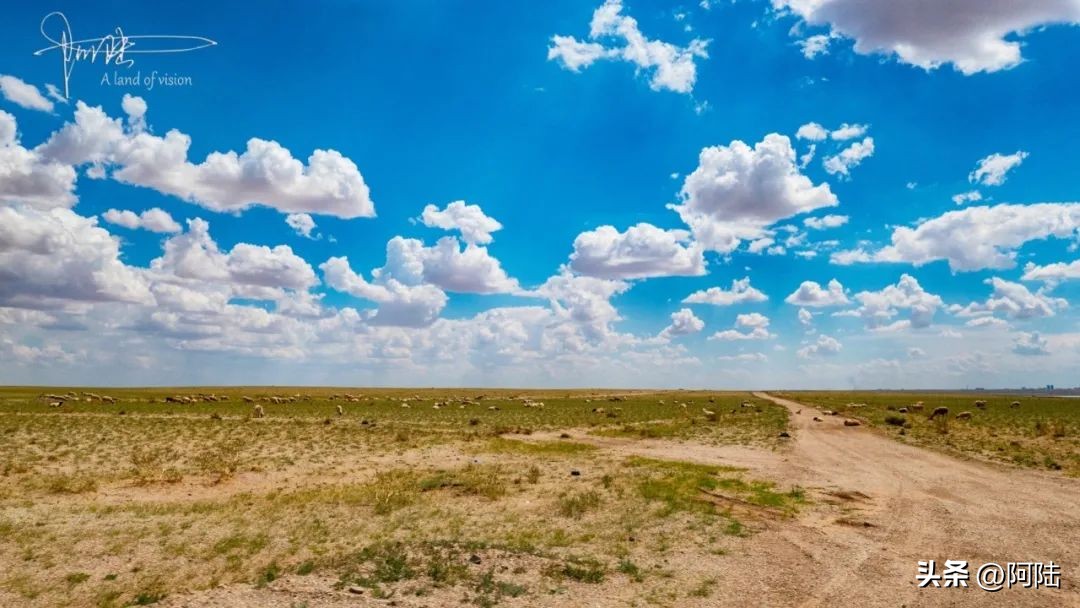 二连浩特便宜的购物店,二连浩特逛街