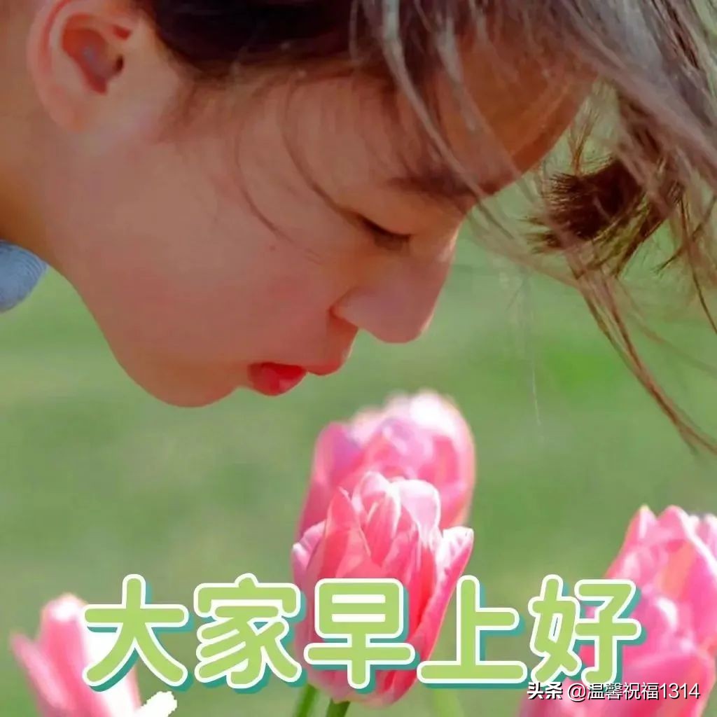 最美早安问候祝福语图片带字温馨,最温馨带字的早安问候图片图文