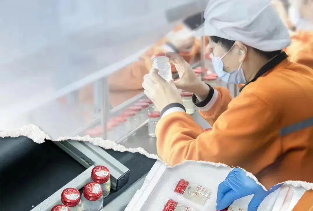 上市梦碎,上市申请撤回