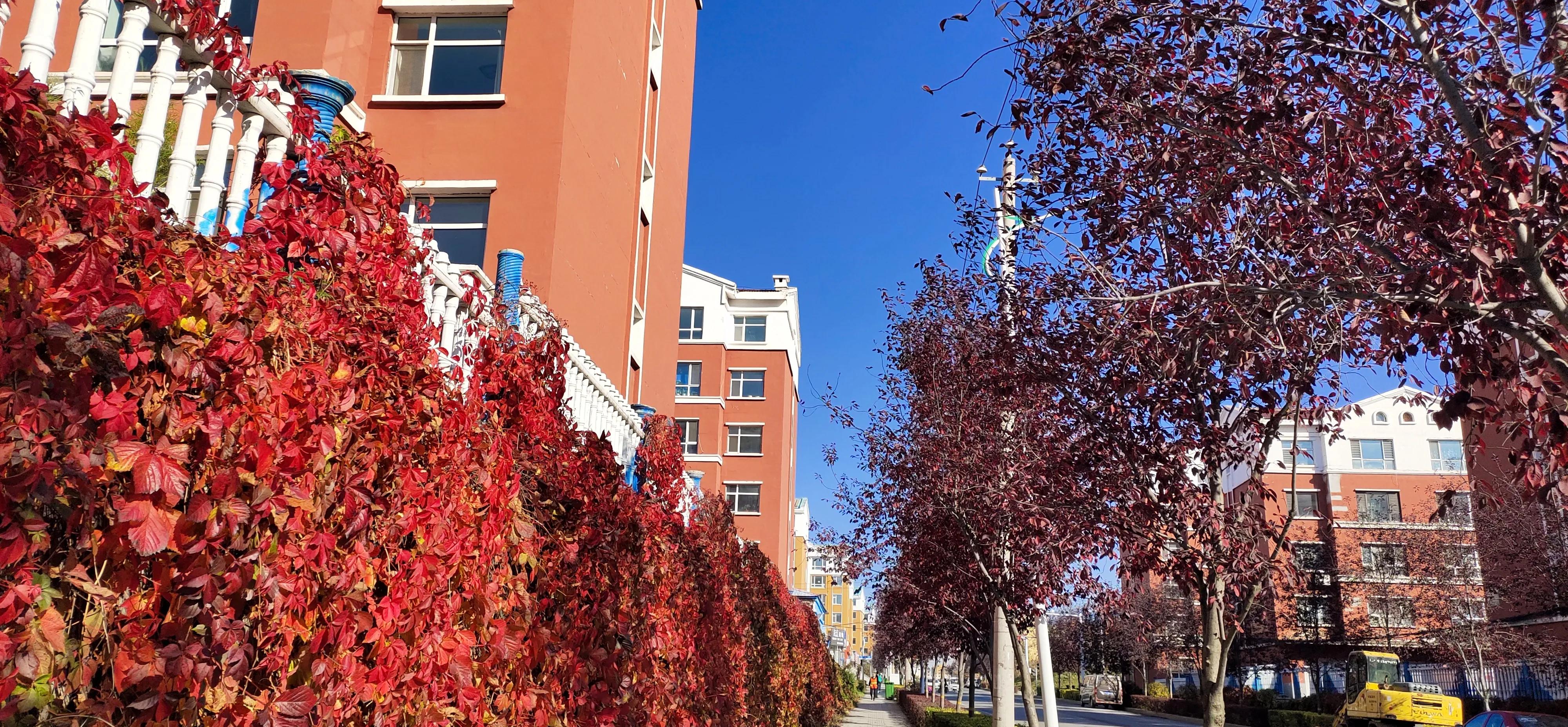 小学英语课堂教学情境创设的研究,小学英语课堂德育创新模式的研究