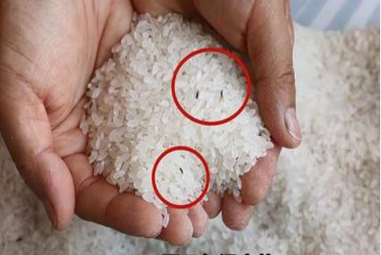 大米长虫怎么办最好方法,已经长虫的大米怎么赶走米虫