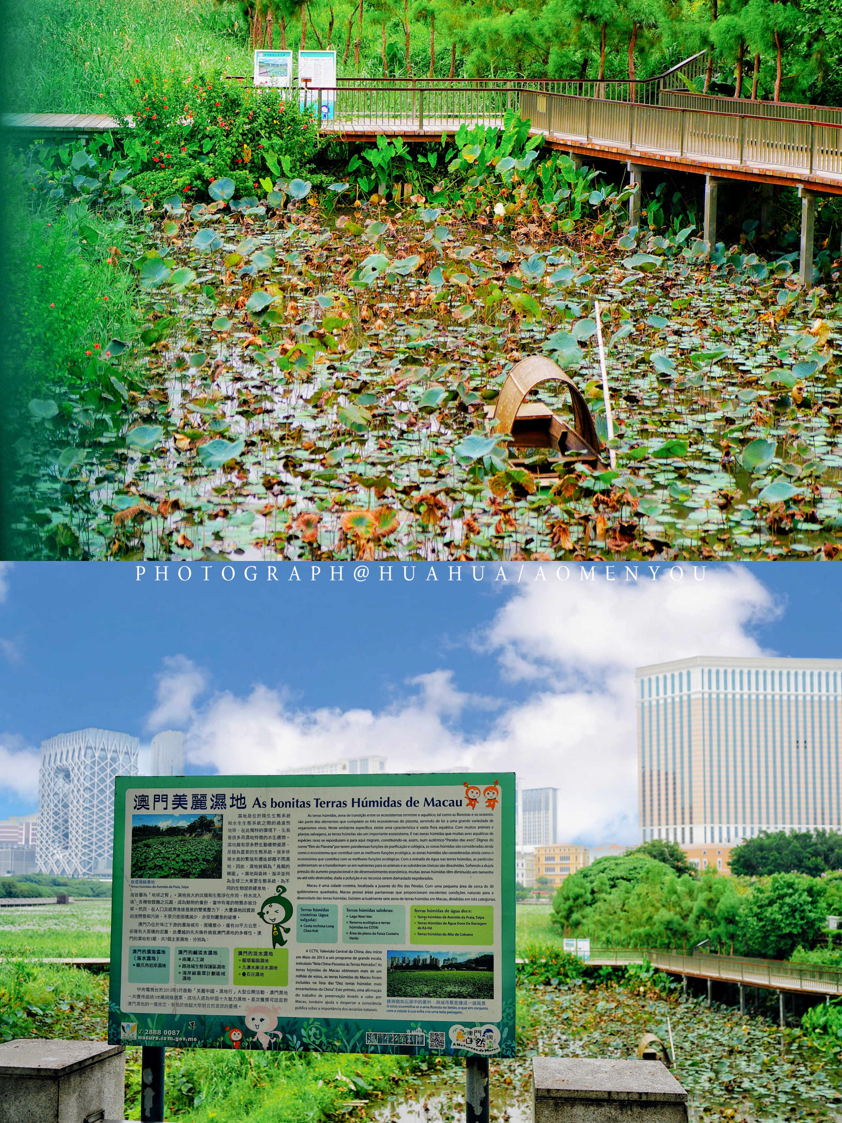 澳门5天4夜旅游攻略,澳门旅游攻略自由行3天