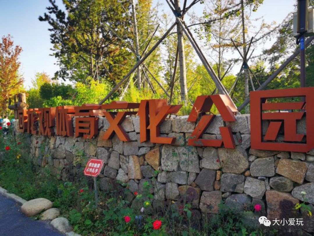 户外轮滑滑板运动场地,儿童户外运动滑板骑行