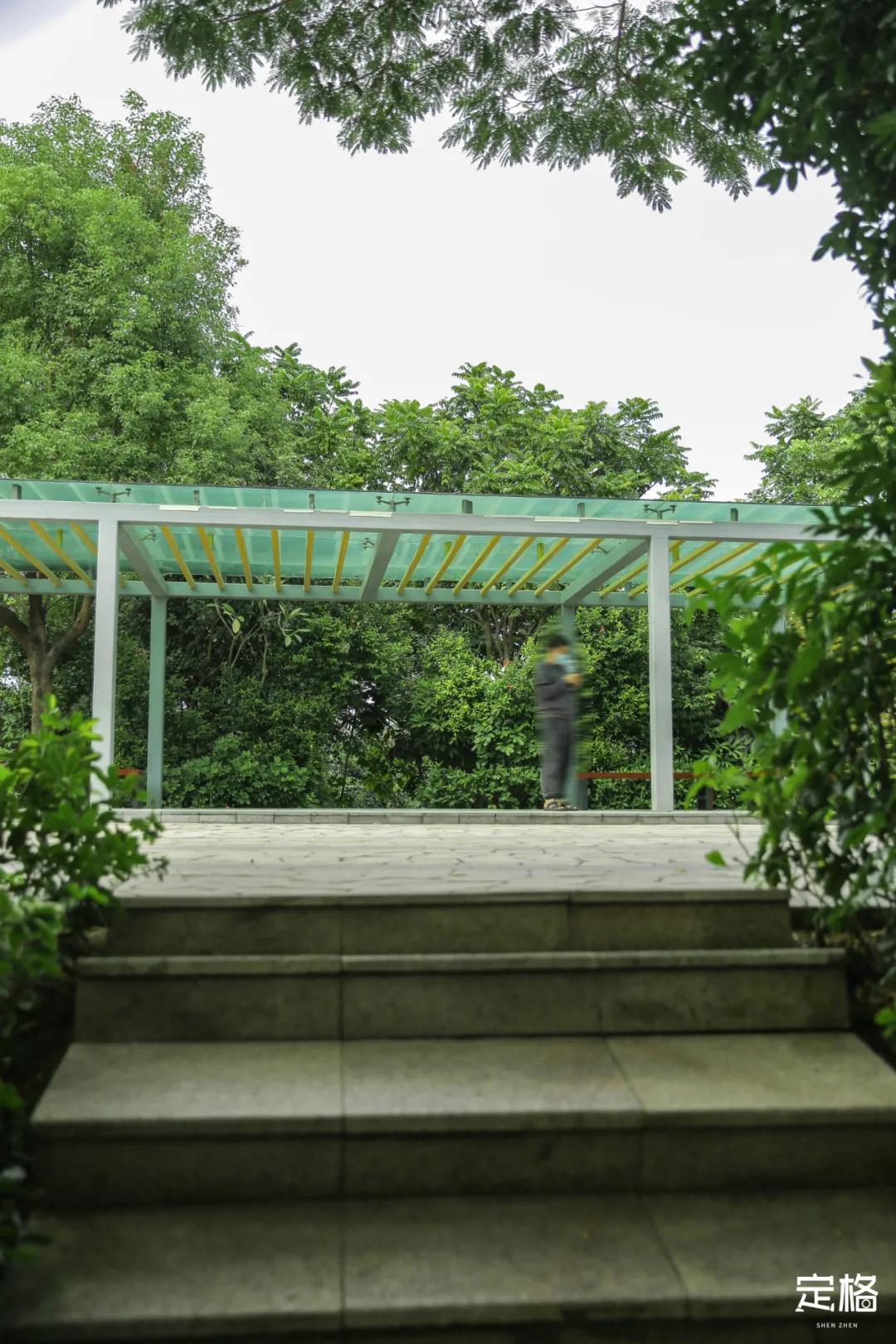 深圳百米长「纯白登山梯」，打卡绝了