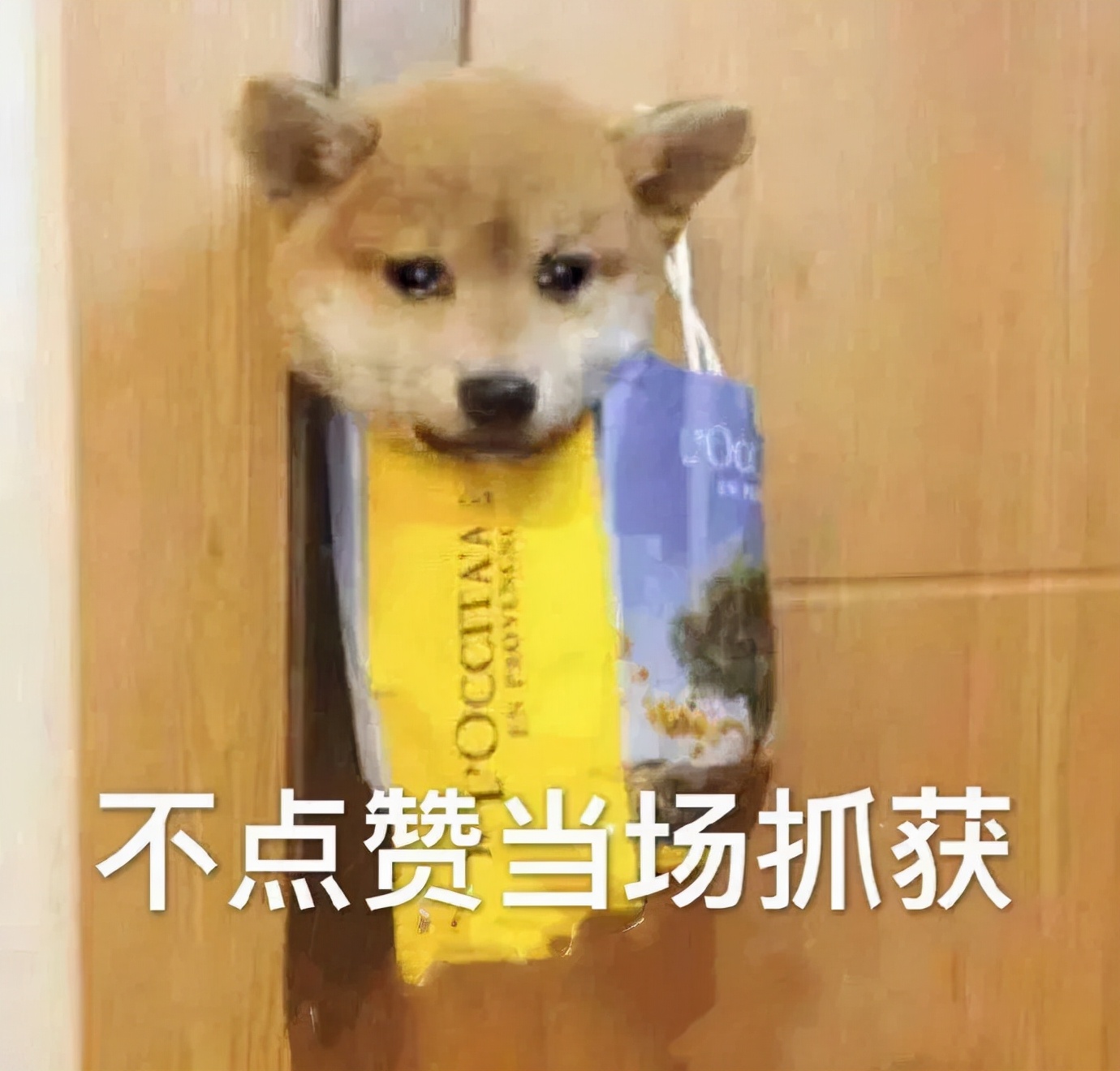 word小技巧这下可方便啦,word的八个基本使用方法