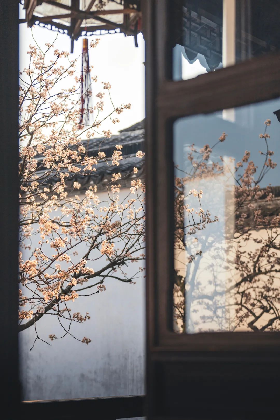 以城相见|苏州，最江南