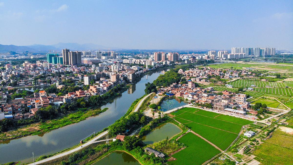 佛山本科自考报考条件,佛山自考本科难吗