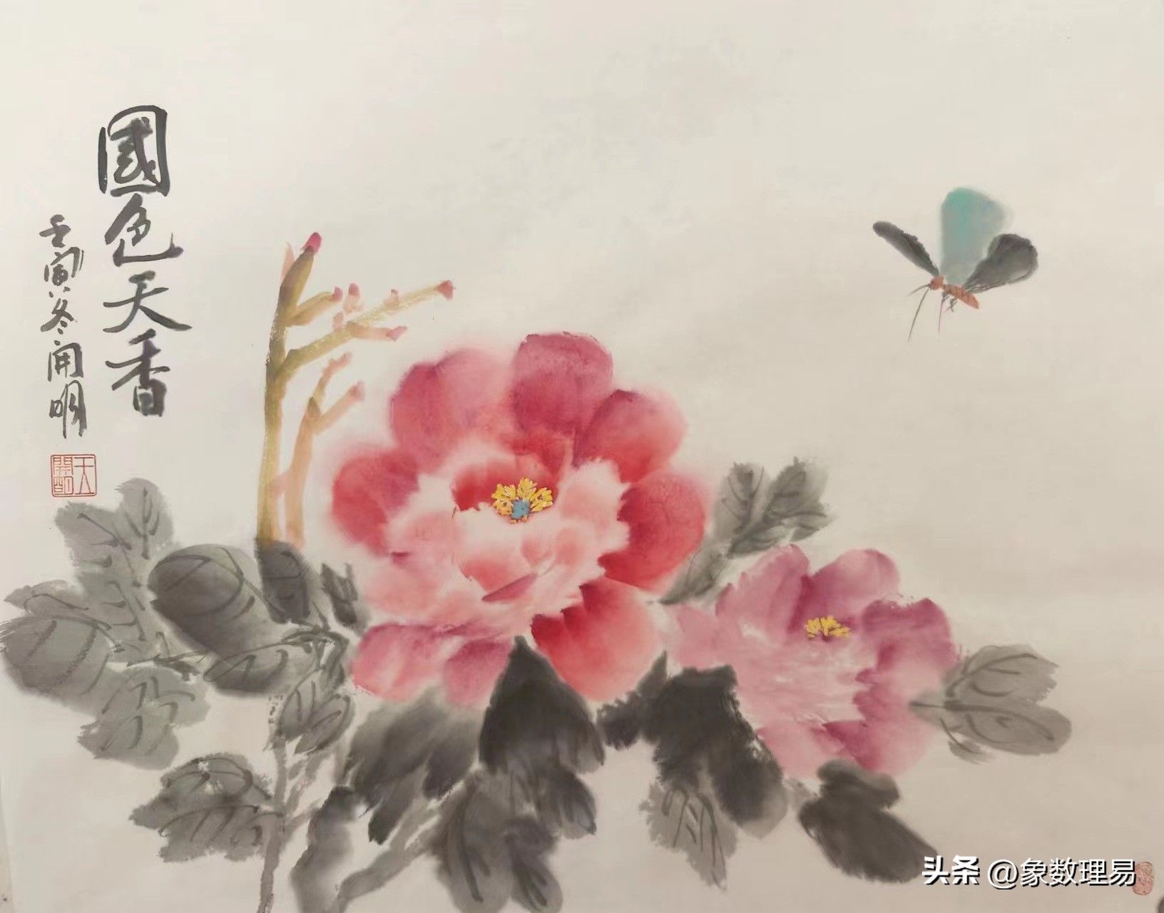 牡丹为什么不能定为中国国花,牡丹能定为国花吗