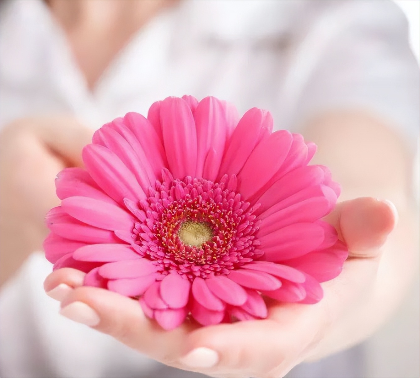 女性心窝口偏右烧灼感痛怎么回事,女性尿路有烧灼感是怎么回事