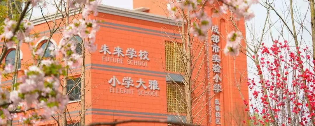 盘点一下成都排名前十小学,成都5朵金花哪个初中好
