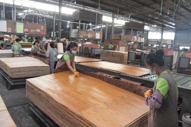 宏茂木业,匠心万里行