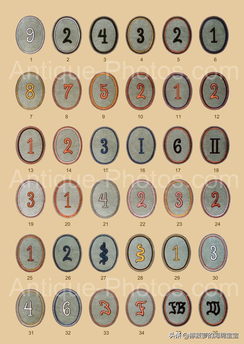 魏玛共和国旗是什么意思,德国军装军衔对照表