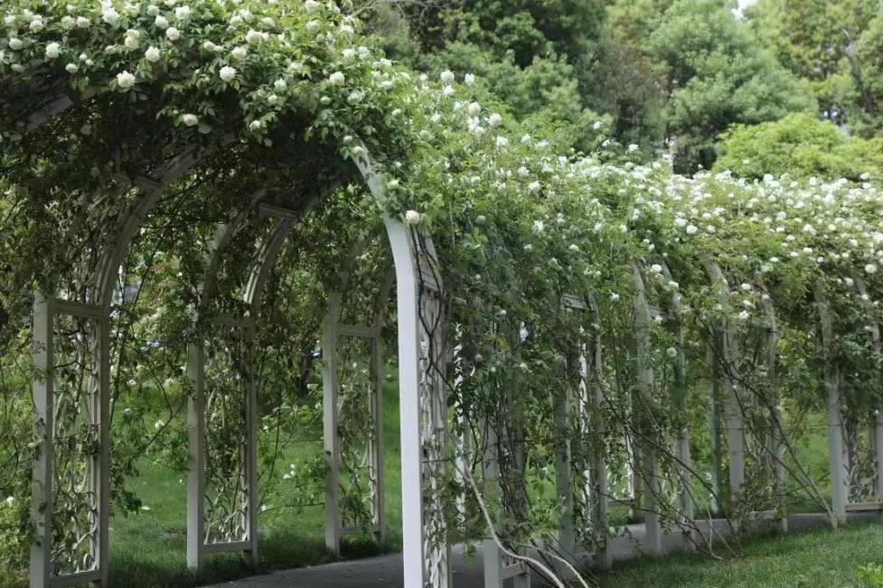 五一的常州,常州的五一