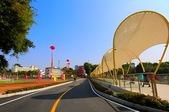 广西2023年单招是怎么录取,广西2023年单招滑档人数