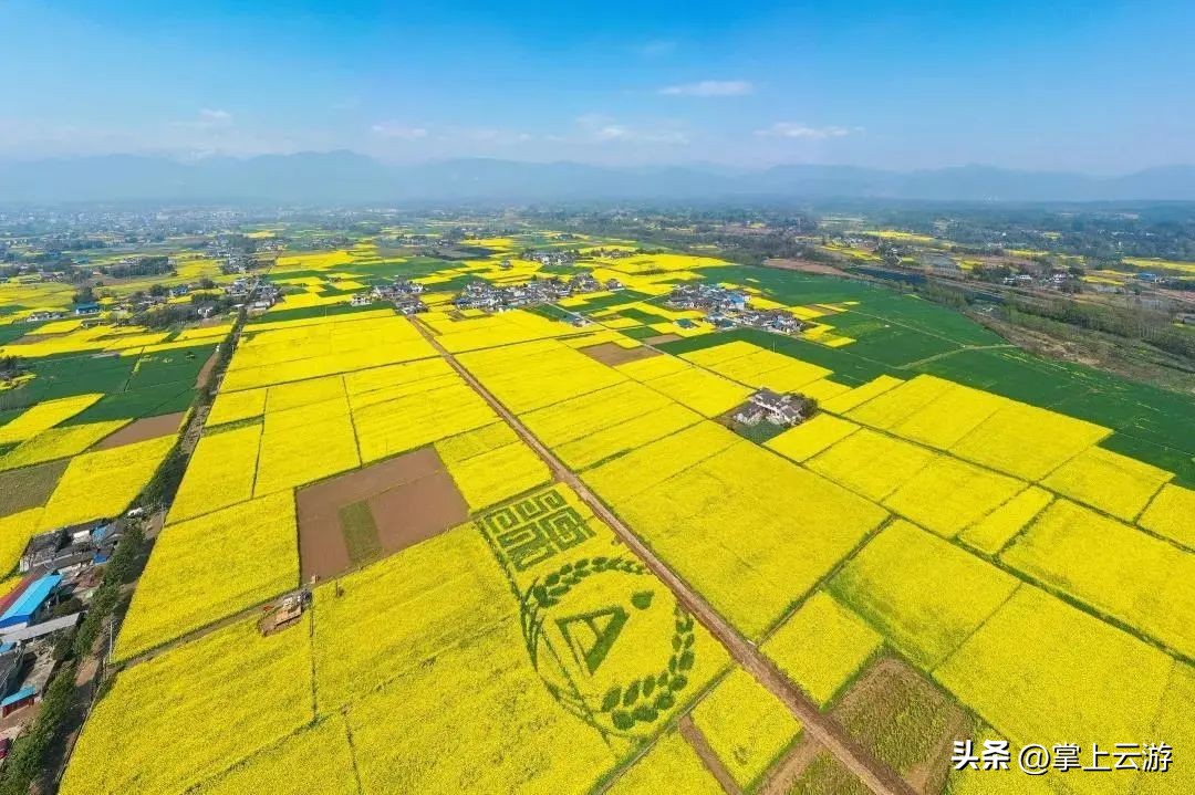 绿野春花,绵阳安州看花免费推荐