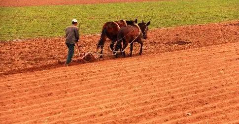 春耕备耕正当时七绝诗歌,春耕时节诗词鉴赏