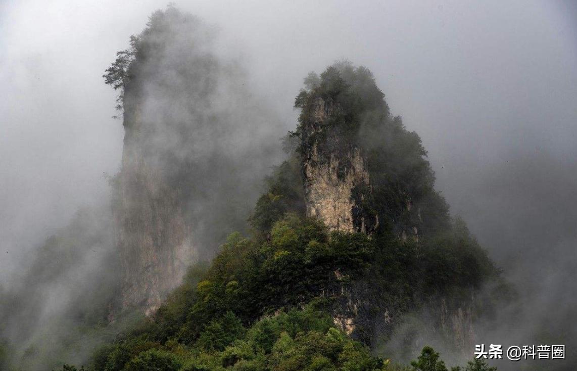 神农架深处为何被列为禁区进不去,神农架深处为何被列为禁区知乎