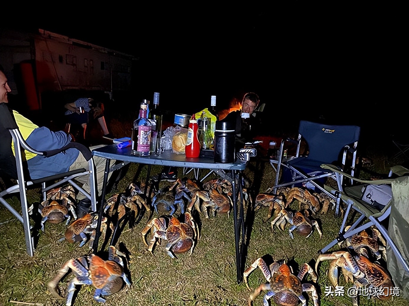 10种最罕见的神秘生物,35种罕见生物照片