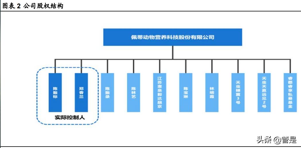 佩蒂股份有10倍潜力吗,佩蒂股份深度分析