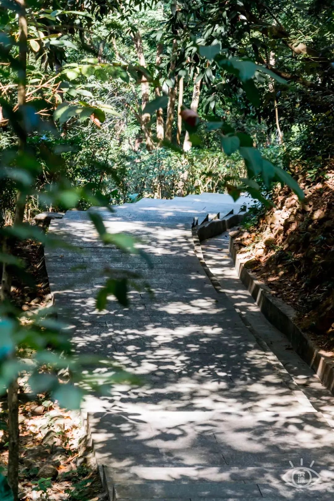 深圳地铁五号线十号线游玩地点,深圳地铁12号线最新最全线路图