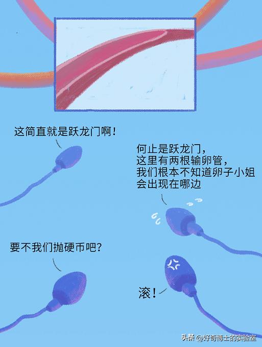 精子进入人体1小时变化,精子进入人体24小时变化