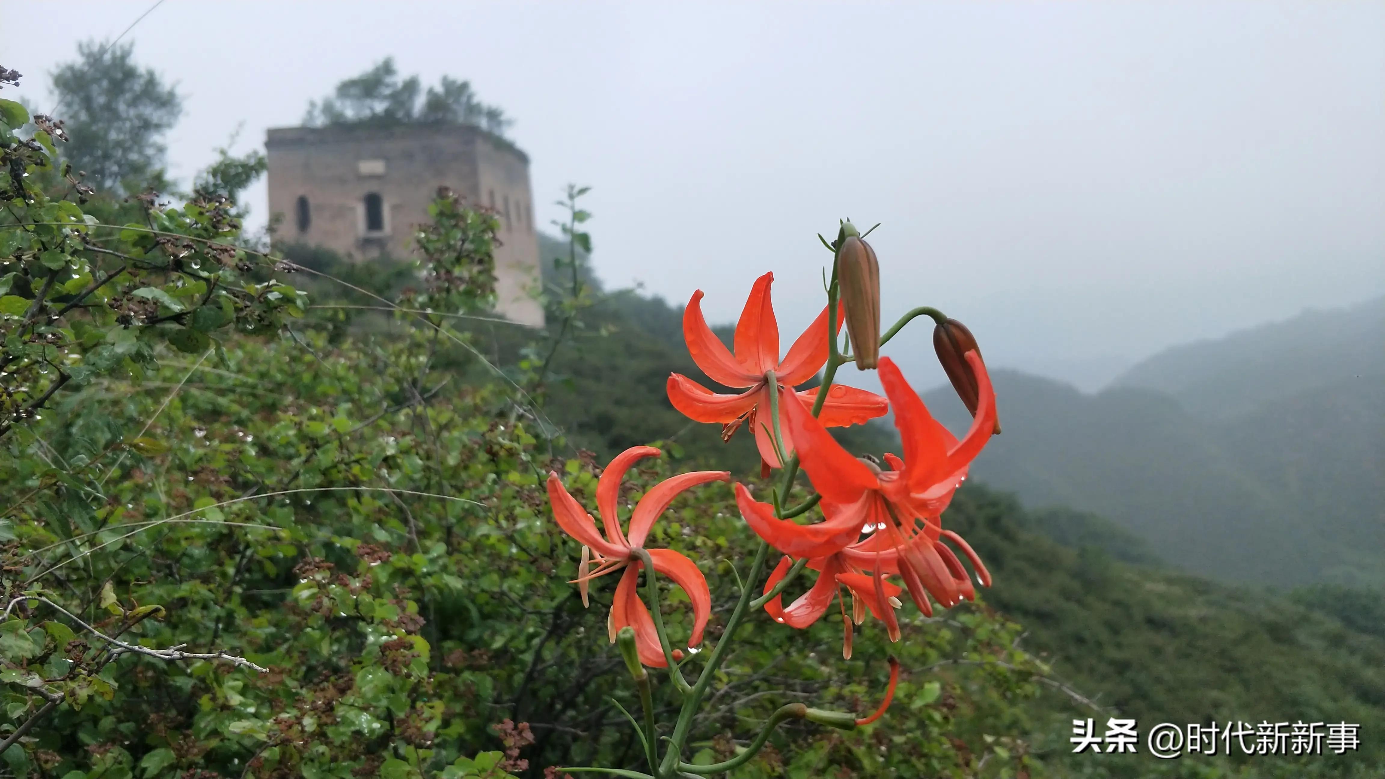 五举措抓好乡镇综合执法工作,灵丘县乡镇综合执法成效