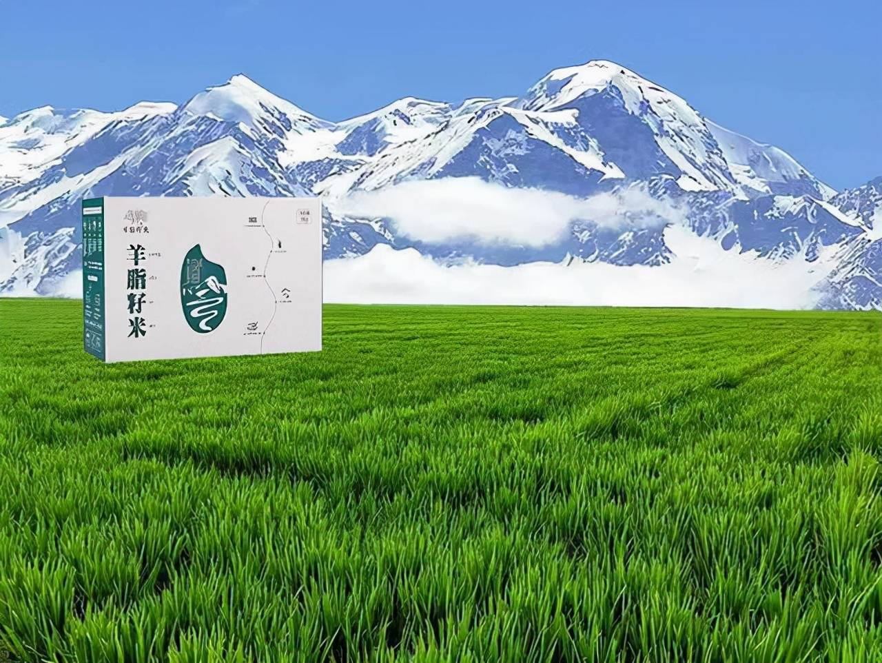 来自塔里木《塔河文苑》的散文：求学路上的心路历程（高中篇）