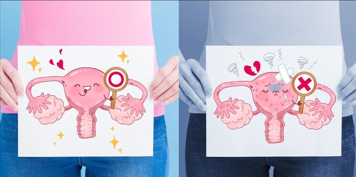 派特灵派特生物科普｜HPV16感染多久可能会癌变？