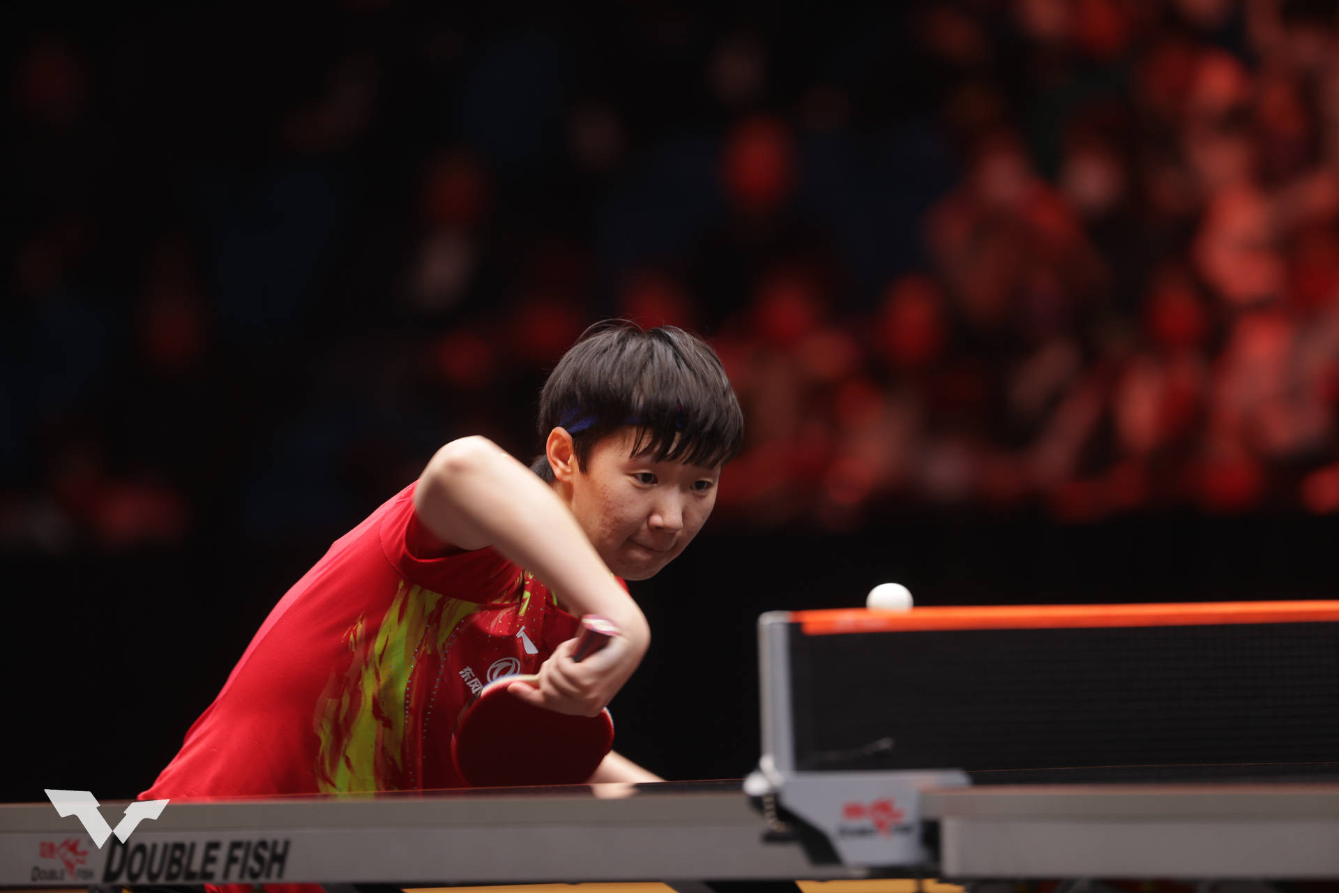 王曼昱换斯蒂卡新球板,王曼昱换底板豆瓣