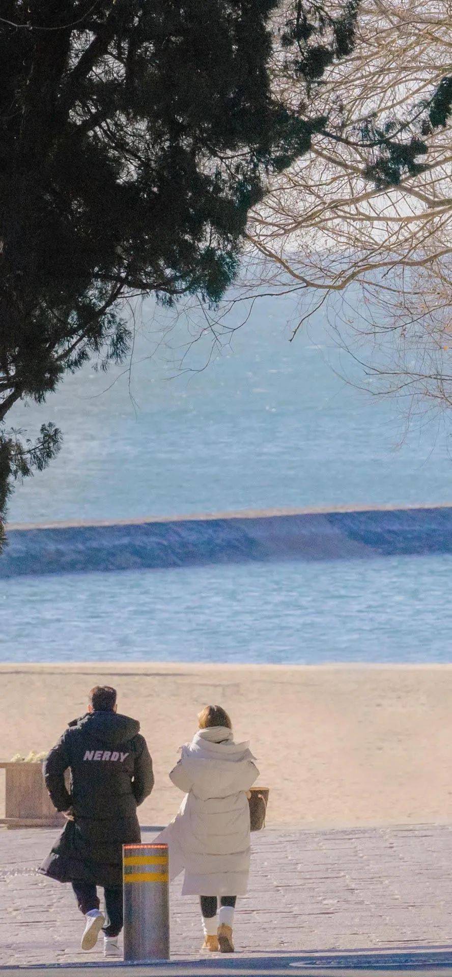 壁纸超清4k幸运壁纸,阴阳师壁纸动态壁纸高清全屏90帧