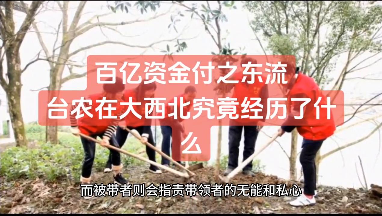 农业亏损1000万怎么办,台农创业现状如何