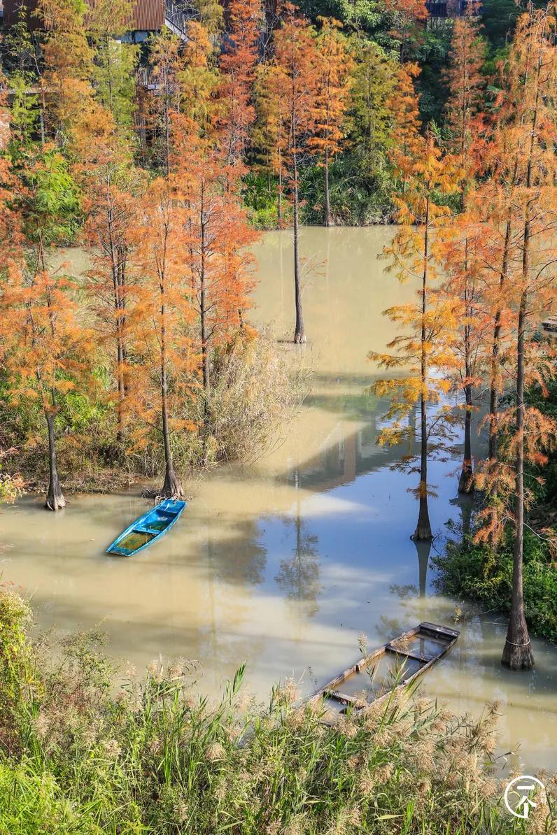 深圳4个绝美海岛,深圳值得游玩的小岛