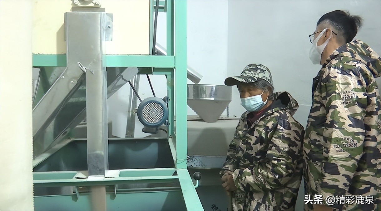 鹿泉：新型职业“新农民”，走出致富“新路子”