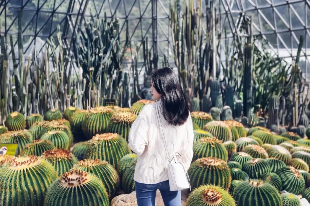 罗湖夜间游玩景点攻略大全,深圳罗湖八大必去免费景点室内