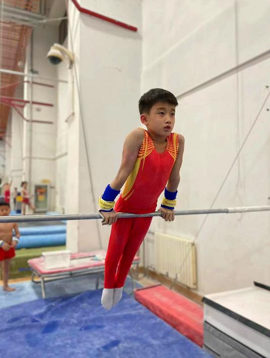 菏泽省运会冠军奖项,菏泽省运会奖牌