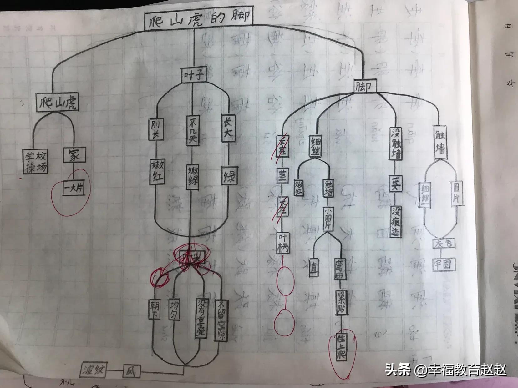 爬山虎的脚思维导图怎么画图片,爬山虎的脚思维导图绘画过程