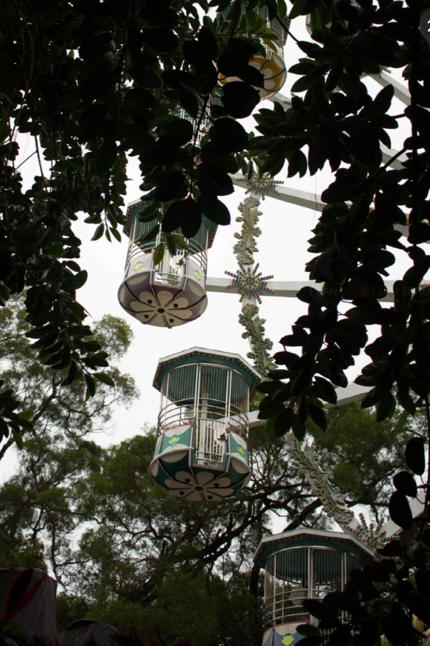 所谓的深圳速度,对深圳速度的看法