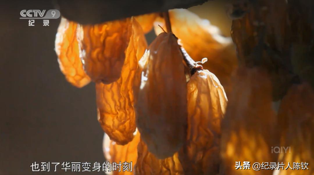 那些年一片封神的纪录片回眸——《舌尖上的中国》