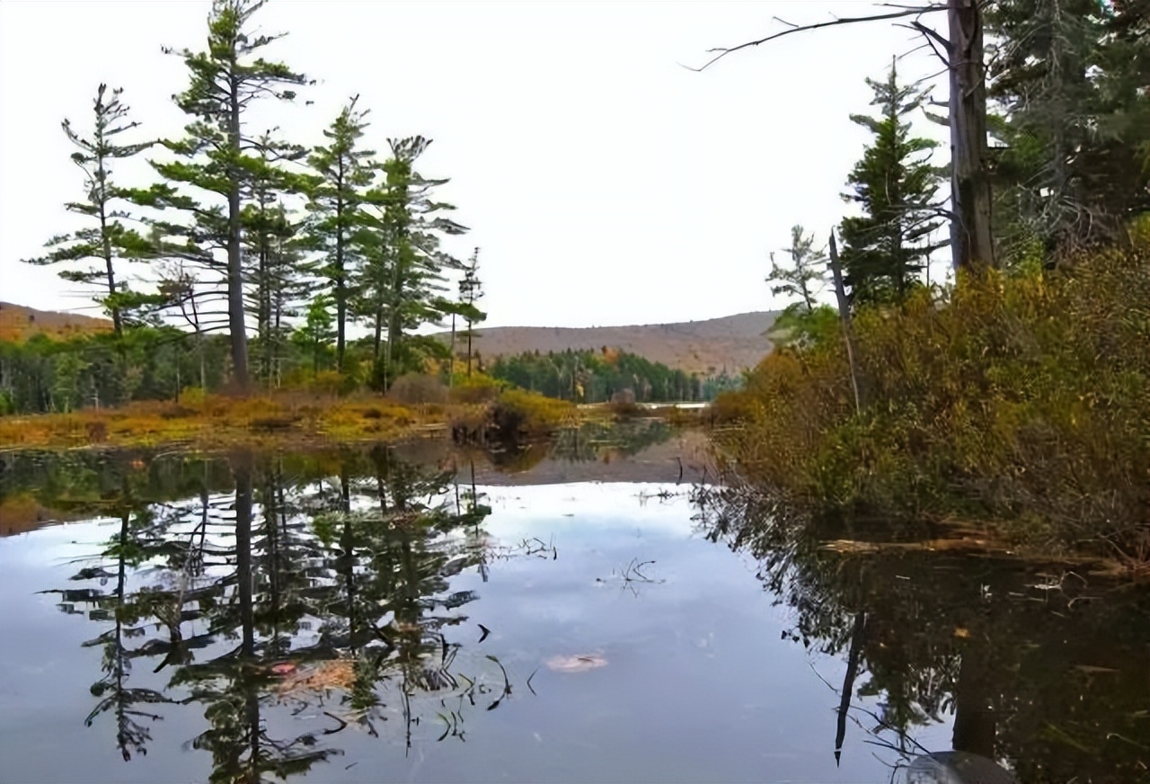 马云如果不卸任会怎样,马云卸任后的目标