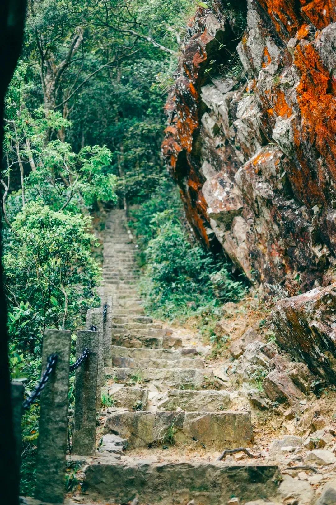 深圳最值得爬的景点,深圳十大最值得爬的山