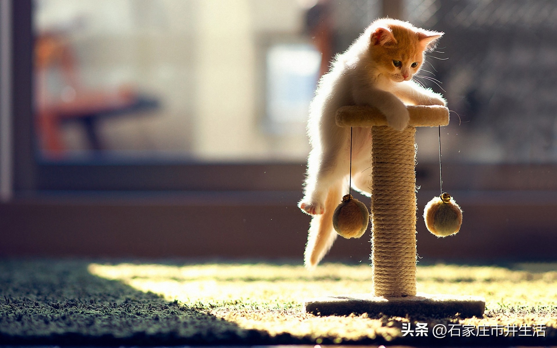 上火的笑话幽默,上火的幽默笑话