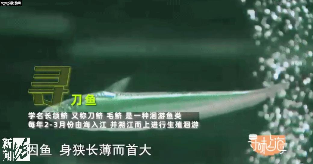 开春第一鲜，错过等一年！