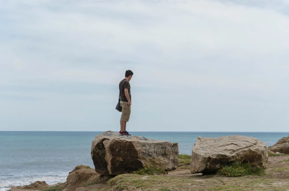 哈佛家训主宰自己命运,哈佛家训6本