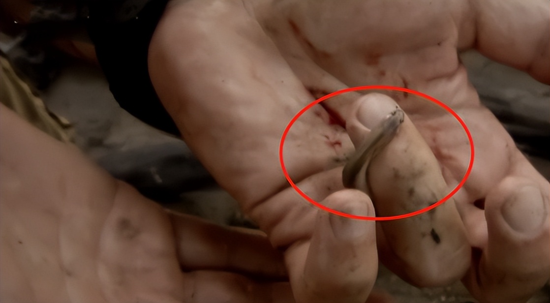 男子钓鱼鱼儿被湖里鲶鱼吃了,男人钓鱼被鲨鱼吃掉